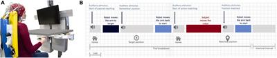 μ-band desynchronization in the contralateral central and central-parietal areas predicts proprioceptive acuity